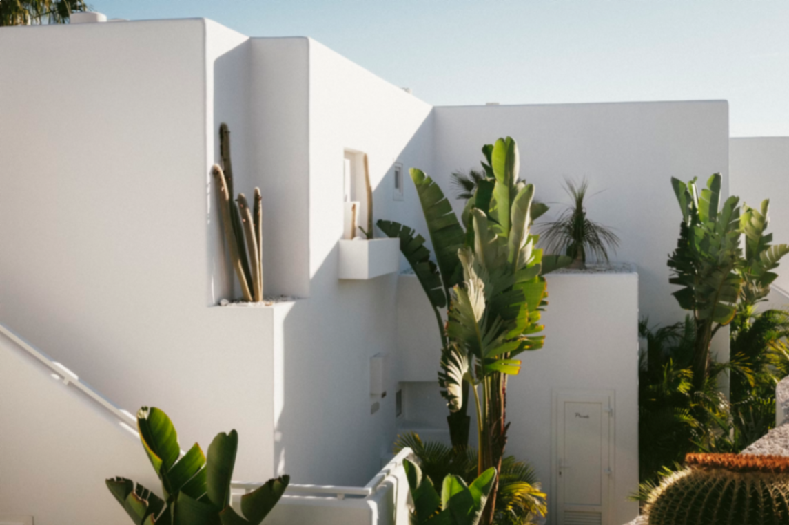 Coloniales vs modernas: ¿qué tipo de casa elegir en Mérida?