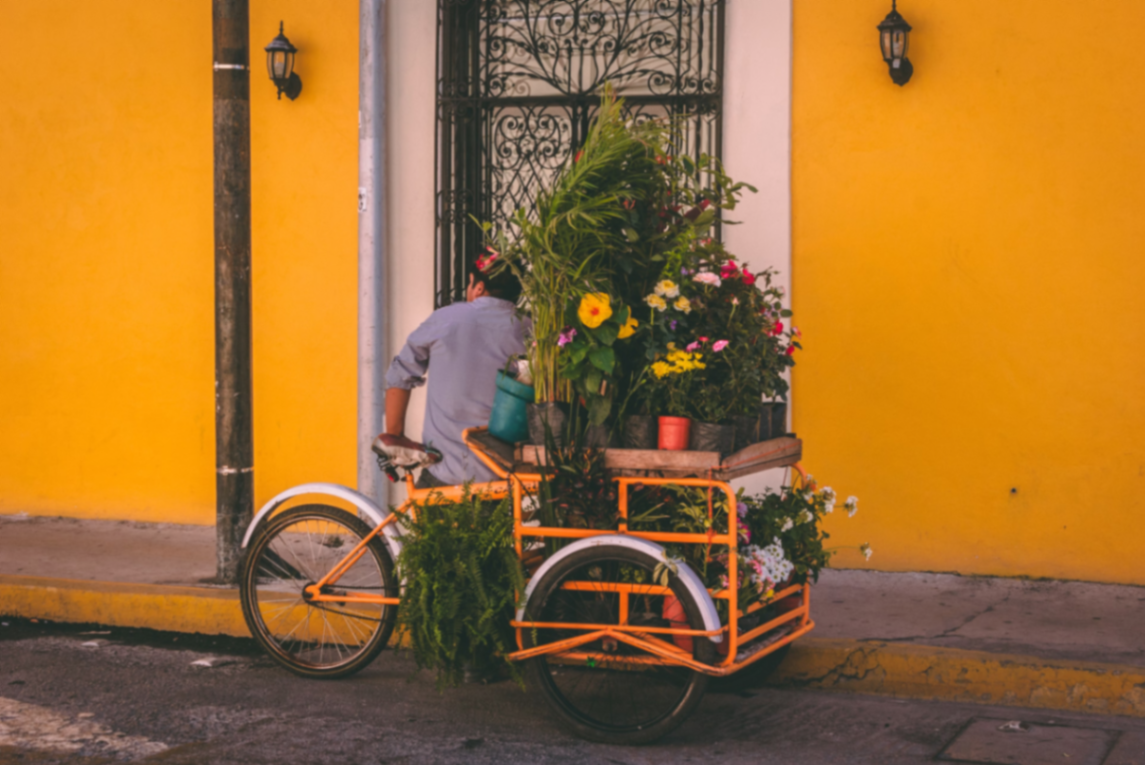 Un día en la vida: viviendo como local en Mérida, Yucatán
