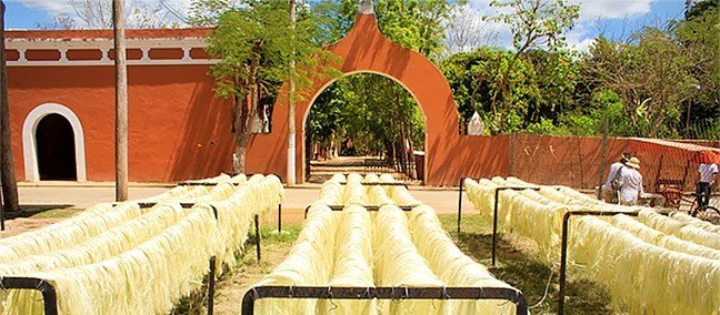 Hacienda Henequenera
